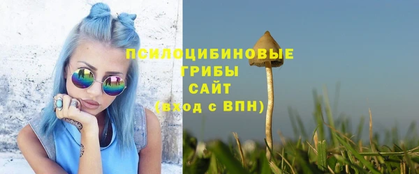 соль ск Арсеньев