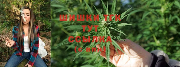 соль ск Арсеньев