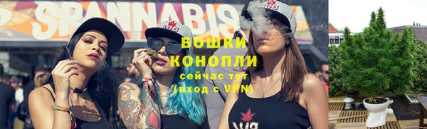 эйфоретик Пересвет