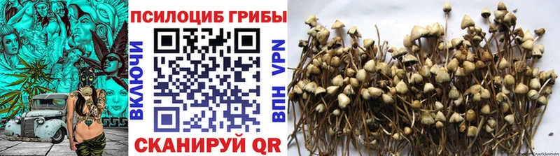 Псилоцибиновые грибы Magic Shrooms купить закладку Теберда